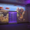 Проекционный дизайн "Виртуальная реальность" базовый комплект 500 анимаций - «globural.ru» - Нерюнгри