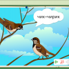 Интерактивное развивающее пособие "Говорящие картинки. Слушаем и повторяем" - «globural.ru» - Нерюнгри