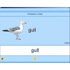 Английский язык. Освоение клавиатуры - «globural.ru» - Нерюнгри
