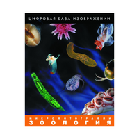 Зоология. Микрофотографии. (Цифровая база изображений) - «globural.ru» - Нерюнгри