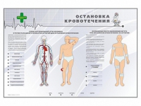Электрифицированный стенд "Остановка кровотечения" - «globural.ru» - Нерюнгри