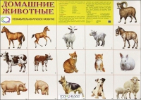 Демонстрационные карточки "Домашние животные" - «globural.ru» - Нерюнгри