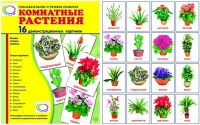 Демонстрационные карточки "Комнатные растения" - «globural.ru» - Нерюнгри
