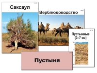 Модель-аппликация "Природные зоны России" - «globural.ru» - Нерюнгри