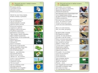 Комплект карточек (10) "Обучающий калейдоскоп. Природа" - «globural.ru» - Нерюнгри