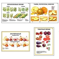 Плакаты ПРОФТЕХ "Ассортимент овощных культур" (12 пл, винил, 70х100) - «globural.ru» - Нерюнгри