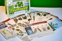 Гербарий к курсу основ общей биологии - «globural.ru» - Нерюнгри