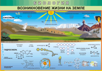 Таблица Возникновение жизни на Земле 1000*1400 винил - «globural.ru» - Нерюнгри