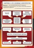 ОБЖ Здоровый образ жизни (комплект таблиц) - «globural.ru» - Нерюнгри