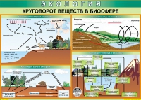 Таблица Круговорот веществ в биосфере 1000*700 винил - «globural.ru» - Нерюнгри