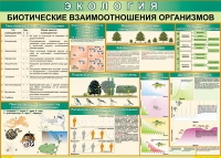 Таблица Биотические взаимоотношения организмов 1000*700 (винил) - «globural.ru» - Нерюнгри