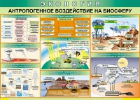 Таблица Антропогенное воздействие на биосферу 1000*700 винил - «globural.ru» - Нерюнгри