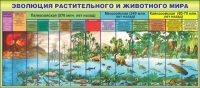 Стенд "Эволюция растительного и животного мира" - «globural.ru» - Нерюнгри