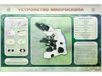 Электрифицированный стенд "Устройство микроскопа и правила работы c ним" - «globural.ru» - Нерюнгри