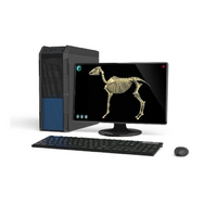 Макет масштабный «Скелет Лошади» Масштаб 1:2 - «globural.ru» - Нерюнгри