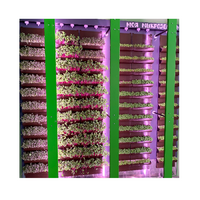 Вертикальная ферма "Моя Микрозелень" комплектация Школьная - «globural.ru» - Нерюнгри