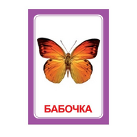 Логопедка "Ч" (логопедические карточки) - «globural.ru» - Нерюнгри