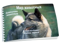 Пособие для слабовидящих "Домашние животные" - «globural.ru» - Нерюнгри