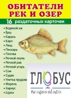 Раздаточные карточки "Обитатели рек и озер" - «globural.ru» - Нерюнгри