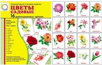 Демонстрационные карточки "Цветы садовые" - «globural.ru» - Нерюнгри