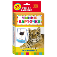 Карточки Домана "Животные" - «globural.ru» - Нерюнгри