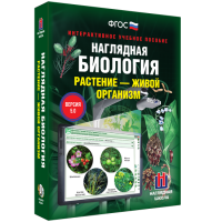Наглядная биология. Растение - живой организм - «globural.ru» - Нерюнгри