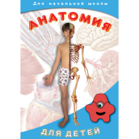 DVD  Анатомия для детей - «globural.ru» - Нерюнгри