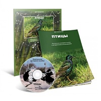 Электронное наглядное пособие «Птицы» - «globural.ru» - Нерюнгри