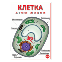 DVD Клетка - "атом жизни" - «globural.ru» - Нерюнгри