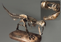 Модель скелета динозавра Tyrannosaurus - «globural.ru» - Нерюнгри