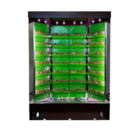 Вертикальная ферма "Моя Микрозелень" комплектация "Театро настольная" - «globural.ru» - Нерюнгри