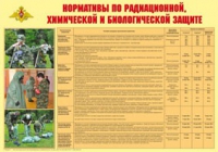 Плакат "Нормативы по радиационной, химической и биологической защите" - «globural.ru» - Нерюнгри