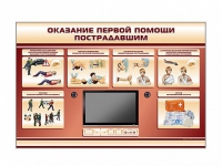 Многофункциональный интерактивный стенд-тренажер "Оказание первой помощи пострадавшим" для учащихся общеобразовательных учреждений - «globural.ru» - Нерюнгри