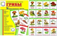 Демонстрационные карточки  "Грибы съедобные и не съедобные" - «globural.ru» - Нерюнгри