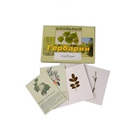 Гербарий "Деревья и кустарники" (22 вида, с иллюстрациями) - «globural.ru» - Нерюнгри