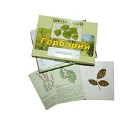 Гербарий "Дикорастущие растения" (30 видов, с иллюстрациями) - «globural.ru» - Нерюнгри