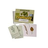 Гербарий "Лекарственные растения" (22 вида, с иллюстрациями) - «globural.ru» - Нерюнгри
