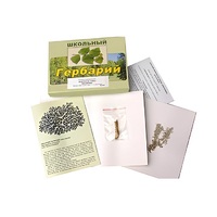 Гербарий "Водоросли. Грибы. Лишайники" (раздаточный) - «globural.ru» - Нерюнгри