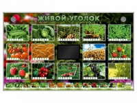 Комплект оборудования "Живой уголок" (растения) - «globural.ru» - Нерюнгри