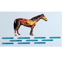 Стенд-планшет светодинамический "Изучение кровеносной системы сельскохозяйственных животных" со сменными панелями - «globural.ru» - Нерюнгри