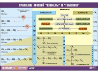 Таблица демонстрационная "Сравнение понятий изомер и гомолог" (винил 100х140) - «globural.ru» - Нерюнгри
