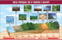 Таблица демонстрационная "Смена природных зон от полюсов к экватору" (винил 70x100) - «globural.ru» - Нерюнгри