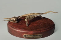 Модель скелета ихтиозавра Ichthyosaurus - «globural.ru» - Нерюнгри