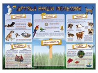 Стенд-уголок "Друзья наши меньшие" - «globural.ru» - Нерюнгри