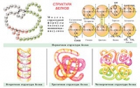 Плакаты и таблицы по общей химии - «globural.ru» - Нерюнгри