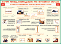  Таблица Общий порядок оказания первой помощи пострадавшим 1000*1400 винил	 - «globural.ru» - Нерюнгри