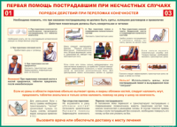 Таблица Порядок действий при переломах конечностей 1000*1400 винил - «globural.ru» - Нерюнгри