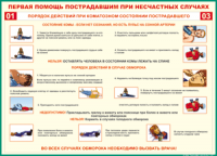 Таблица Порядок действий при коматозном состоянии пострадавшего 1000*1400 винил - «globural.ru» - Нерюнгри