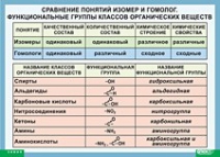 Химия. Сравнение понятий изомер и гомолог. Функциональные группы классов органических веществ (винил) - «globural.ru» - Нерюнгри