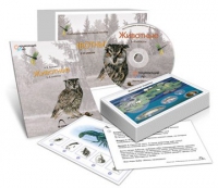 Комбинированное наглядное пособие «Животные» - «globural.ru» - Нерюнгри